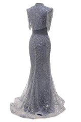 Gray Mermaid Sparkle Half Sleeves V-neck High neck Evening Dresses