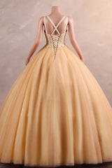 Straps Sparkle Ball Gown Sleeveless Beaded Quince Dresses