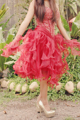 Ball Gown Sweetheart Knee Length Organza Beaded Prom Dress-stylesnuggle