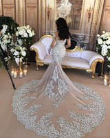 Wanna get a dress in Mermaid style, and delicate Lace,Crystal work? stylesnuggle custom made you this Classic High neck Long Sleevess Mermaid Wedding Dress Silver Tulle Bridal Gowns with Lace Appliques at factory price.