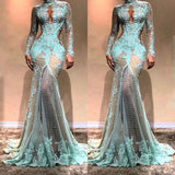 Looking for Long Sleeves prom dresses in lace mermaid style,  and hottest hand work? stylesnuggle has all covered on this Gorgeous Long Sleeves Mermaid Evening Dress Lace Formal Dress.