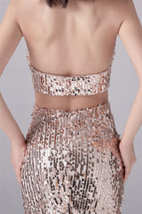 Halter Sleeveless Backless Sequined Floor Length mother's dress-stylesnuggle