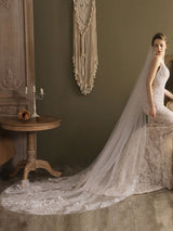 Ivory One-Tier Tulle Lace Applique Edge Waterfall Long Wedding Veil-stylesnuggle