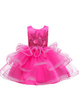 flower girl dresses Jewel Neck Tulle Sleeveless Knee Length Princess Silhouette Beaded Kids Party Dresses